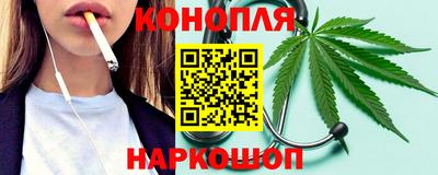сатива Кандалакша