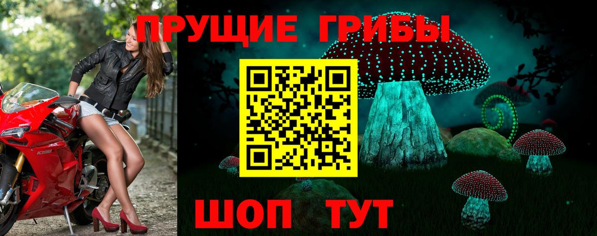 Галлюциногенные грибы MAGIC MUSHROOMS  Псилоцибиновые грибы Psilocybe  Вход с VPN  Ярцево 