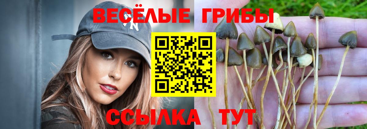 Галлюциногенные грибы мухоморы Ярцево